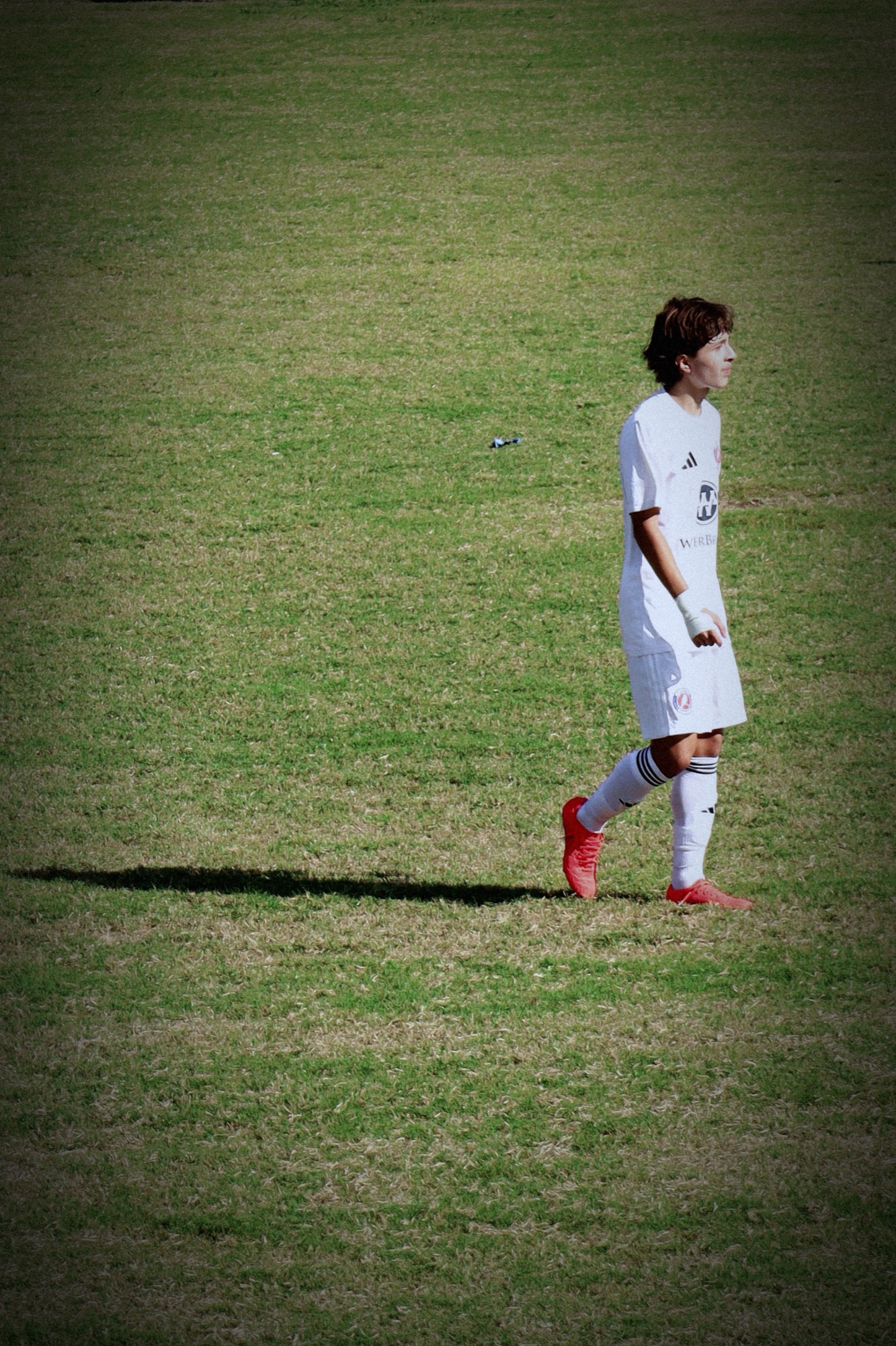 Photo by Roman